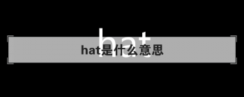 hat��ʲô��˼ �кܶ����˼���÷�