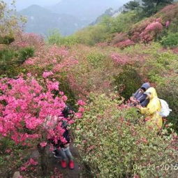 ��Ƕž黨��Ʊ����Ǯ ��Ʊÿ��120Ԫ