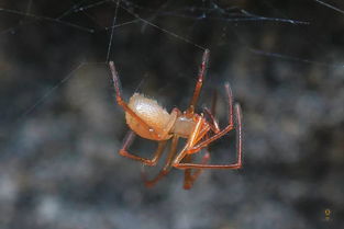 �������������ᱨ���� ��治������