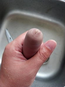 刺螠是什么 不吸血俗名海肠