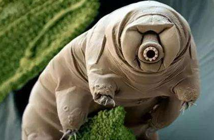 ˮ�ܳ������Ƕ����� 120�����ҲŽ����һ�δ�л