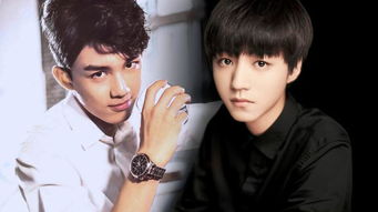 �鳬�ӱ������� �鳬������������