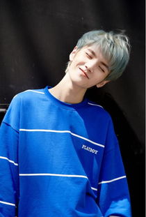 �鳬�ӱ������� �鳬������������