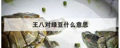 王八对绿豆什么意思 它说的是什么呢
