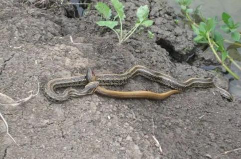 ��Ϊʲô�»��� Ϊʲô�¶�ķ��������