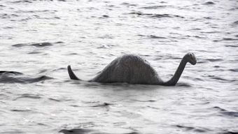 ��˹��ˮ����Ĵ����� ��������ԭ��