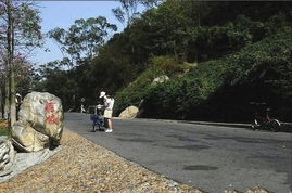 ���Ź������� ������·ͨ����빬��·��