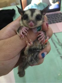 �۴����д�Ⱦ���� ����ר�ұ�ʾ���д�Ⱦ��