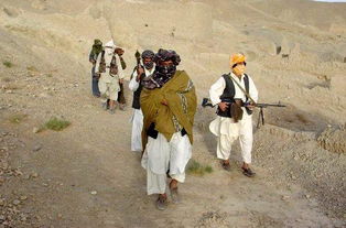 ������������� ��Ȩ�����������ֱ��˶���