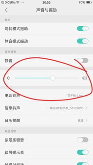 爆音是什么意思 在放音过程中出现的间歇干扰声