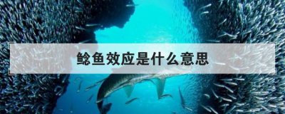 ����ЧӦ��ʲô��˼ ��ҵ������ʲô��˼