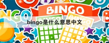 bingo��ʲô��˼���� ������ʲô������