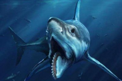 ʮ��Զ����ֲ��Ķ�������Щ ̫�Ŵ�ʮ��ֲ�����