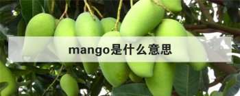 mango��ʲô��˼ ��������ʲô��Ʒ�����Ǻ���ˮ��