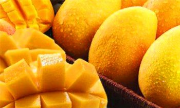 mango��ʲô��˼ ��������ʲô��Ʒ�����Ǻ���ˮ��