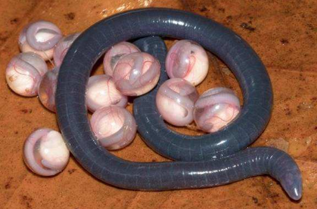 ��ä���Ǳ��������� ��ä���ж���