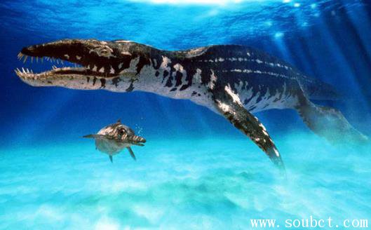 �������ж�� ����������Ӳ����