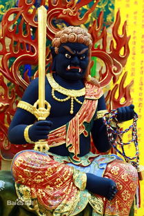 ����������������ʲô �����κ����Ѿ���ɨ������