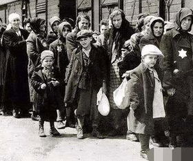 犹太人聪明是因为禁欲 原因很可能是喜欢看书和提问题