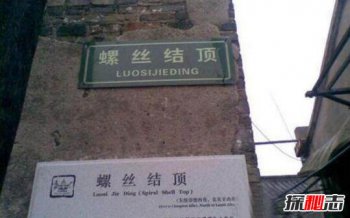 �����޵�������ļٵ� ������˿�ᶥ���޵���