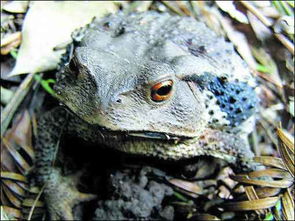 �Ѿ���������ܶ�������Щ ��ʷ��ȷ�н��������