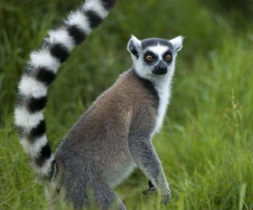 �Ѿ���������ܶ�������Щ ��ʷ��ȷ�н��������