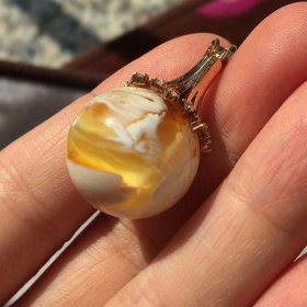 ����������ʲô��˼ �����������н���һ��