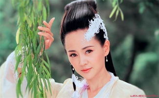 �Ŷ�����ô������־�� ѡ����־�ɵ�ԭ����Ȼ�ǰ�