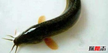 ���������ʵ���� �����ƶ�����Щ