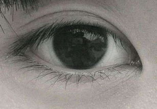 狐狸眼和丹凤眼有什么区别 丹凤眼狐狸眼相近