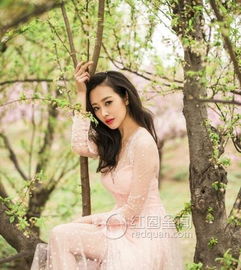 �����������˭ ��������Ϲ�����֣�