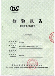 Τ��˹����������ô�� Τ��˹���Ͳ���������