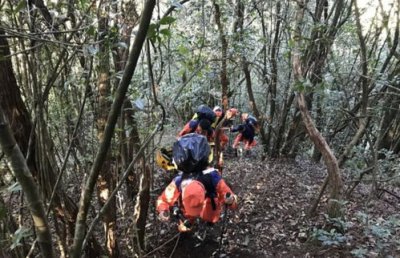 哀牢山遇难原因分析 进入哀牢山进行野外作业失联