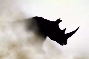 ��Ϭţ�¼���ζ��ʲô һ�ʵ���ԴӦ�������