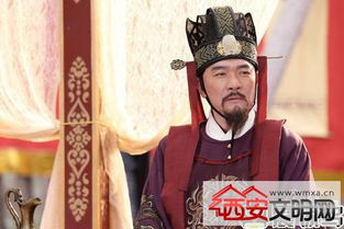 �����޼��Ǻ����� �������������