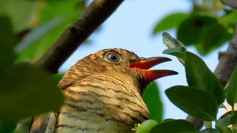 �ž��������ʧ���� ����ʧ��