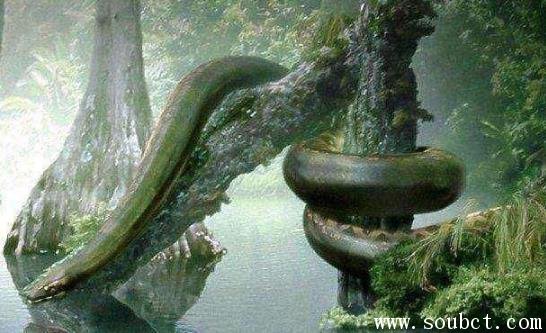��ˮ���ж�� ������������֮һ