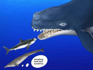 ʷǰ��һ���¾���÷��ά������ɱ�޳���ͼƬ