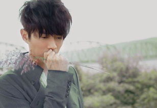 �Ŷ�����ô���������� Ӧ����û�нӵ��õľ籾