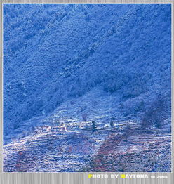 阳春白雪和下里巴人最初指的是什么 指的是两首曲子