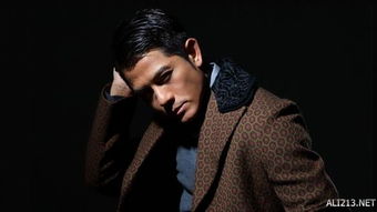 ������ӣ��������ʲô ���׸��������Ӣ�ĵĽС�Para Para Sakura��