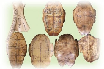 ���ֵ�������Դ�������� �������ֵ�����