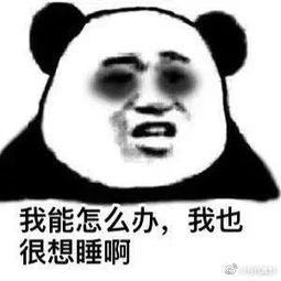 lsū��ʲô ��ָ�ý�Ǯ��������˯����ʧ����