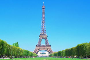 ���������ĸ����ҵ� ��ʿ���������׸�