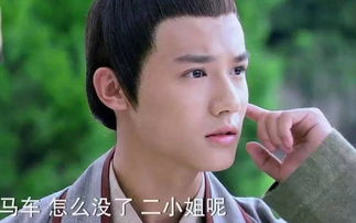 ֣ҵ�����ĸ���˾�� ֣ҵ�ɸ�������