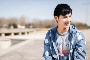 ֣ҵ�����ĸ���˾�� ֣ҵ�ɸ�������