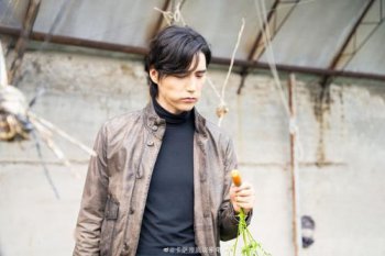 ���Ƹ�Ϊʲô���� û�й������ֵ�ԭ��