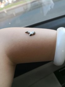 ͷ�ϵ���ʺ�д��� ԭ������һ���ǳ���������