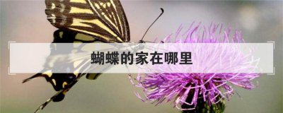 �����ļ������� �����ļ���������Ѵ�