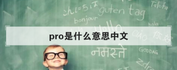 pro是什么意思中文 作名词可译为职业选手